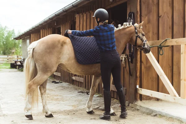 Feminino Jockey Colocando uma almofada de sela na parte de trás de seu cavalo para proteger de Sores — Fotografia de Stock