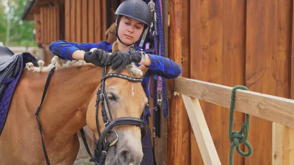 Uma jovem mulher estável jockey com um capacete prepara um cavalo marrom — Fotografia de Stock