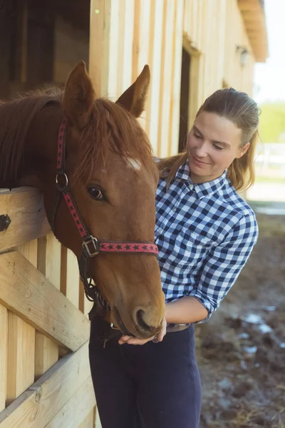 Horse Owner Patting A Dark Bay Horse - Stable View With Rows Of Horse Stalls — Stock Photo, Image