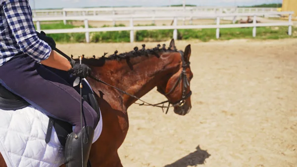 Uma menina caminha um cavalo em um rancho em um dia ensolarado — Fotografia de Stock