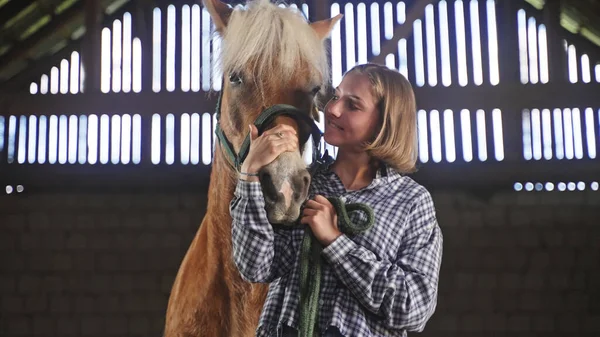 The young woman carefully caresses the horses snout and holds it with a green bridle — Stock Photo, Image