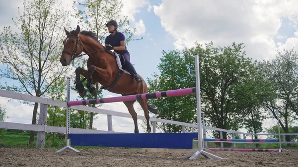 Um jockey com seu cavalo marrom salta sobre um obstáculo — Fotografia de Stock
