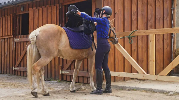 Uma jovem jóquei coloca uma sela em um cavalo calmo perto do celeiro — Fotografia de Stock