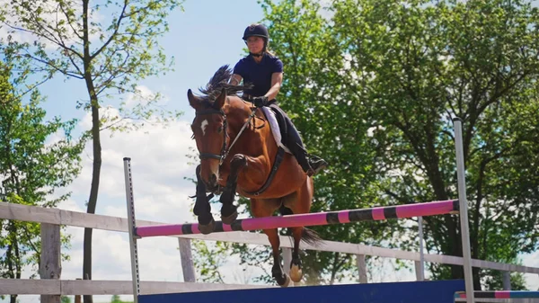 Un jinete en un caballo con equipo completo salta sobre un obstáculo en un rancho — Foto de Stock