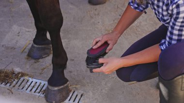 Çömelmiş ekose gömlekli genç bir kız atın yanında siyah bir kol fırçalıyor.