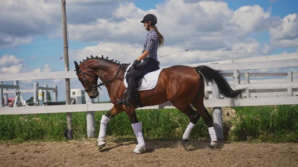 Uma jovem com um capacete na cabeça monta um cavalo ereto com a cabeça para baixo — Fotografia de Stock