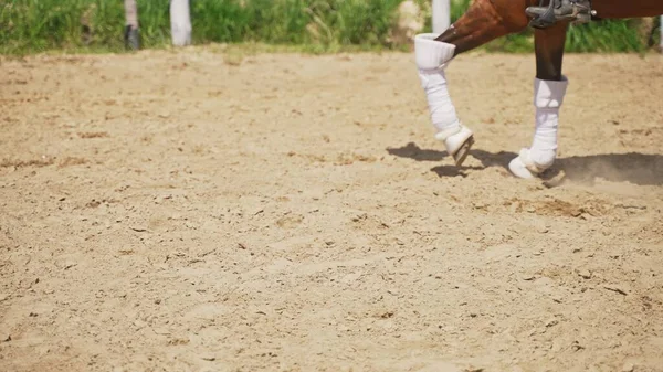 Una persona en un caballo marrón con un enfoque en las patas delanteras de un caballo en un rancho en la naturaleza — Foto de Stock