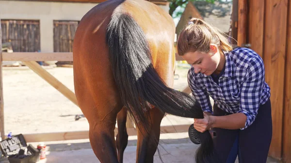 A long-haired young girl in a plaid shirt brushes a horses tail — Stock Photo, Image