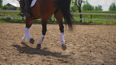 Bilinmeyen bir kişi kahverengi bir atın arkasında oturur ve at dörtnala koşar.