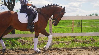 Kahverengi atlı bir dişi, çitlerle çevrili bir çiftliğin yanında koşuyor.