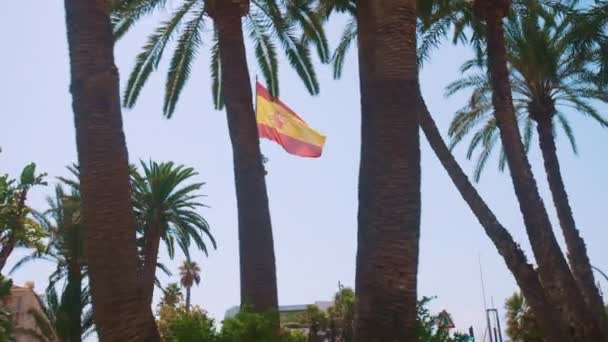 Spanyol zászló lengő gyengéden a szél - Palm Tree Trunks Closeup - alacsony szögben