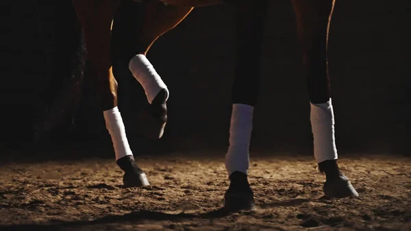 Bruin paard op de grond onder kunstmatig licht waarbij de focus ligt op alle vier de poten waarvan de laatste wordt opgetild — Stockfoto