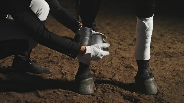 Una persona desconocida con guantes en las vendas oscuras patas de un caballo — Foto de Stock