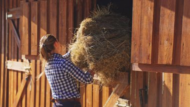 Genç bir kız ahırın kapısına saman yığını fırlatıyor.