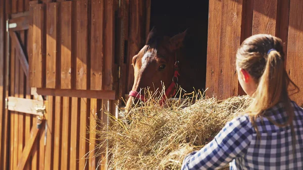 Ein junges Mädchen mit langen Haaren trägt einen Heuballen zu einem Pferd in einer Scheune — Stockfoto