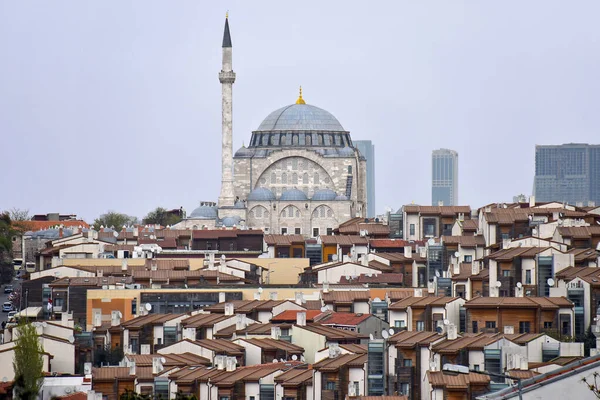 Mosque Rises Brown Roofs Beautiful Panorama Istanbul Turkey — Stock Photo, Image