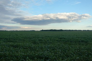 # Yeşil alanda beyaz bulutlarla maviye boyarız