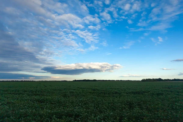 Azul-lo com nuvens brancas sobre o campo verde — Fotografia de Stock