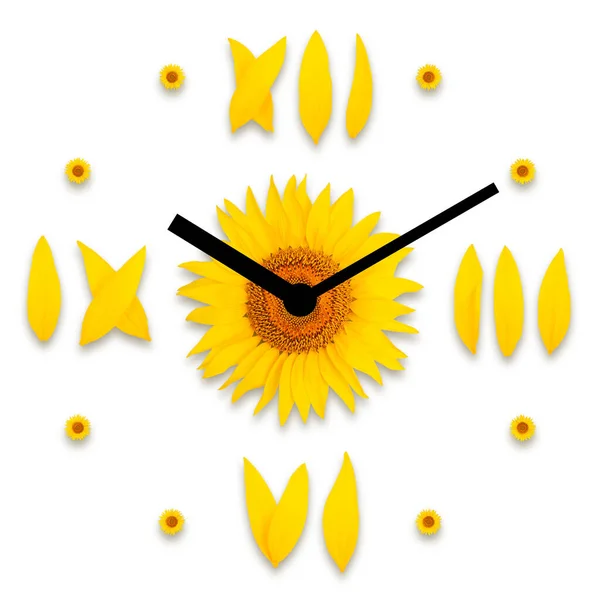 Wijzerplaat met pijlen van zonnebloemen op een witte achtergrond — Stockfoto