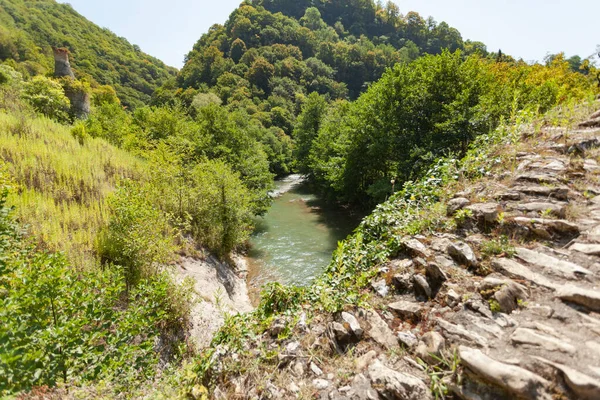 Gebirgsfluss zwischen grünen Bäumen — Stockfoto