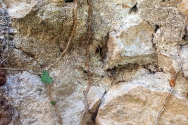 Eski bir ışık taşından duvar