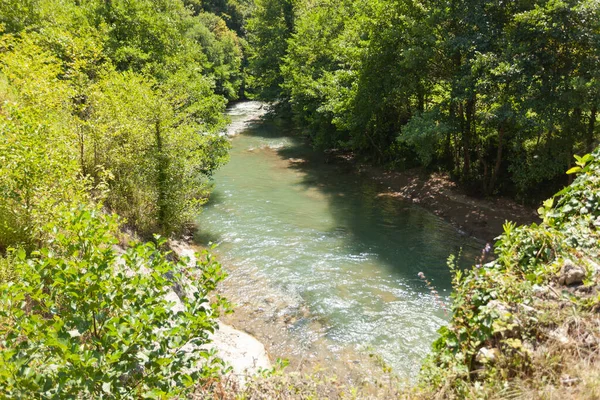 木々の間を流れる山の川 — ストック写真