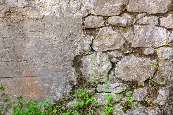 Ο παλιός τοίχος από βότσαλα είναι καλυμμένος με φυτά — Φωτογραφία Αρχείου