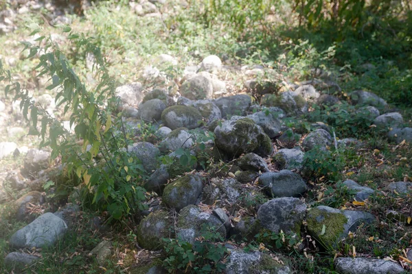 Velhos calhaus cobertos de musgo — Fotografia de Stock