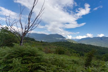 Güzel dağ zirveleri