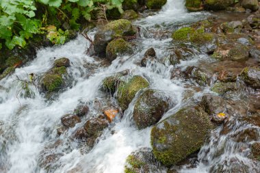 Dağ nehrindeki büyük taşlar.