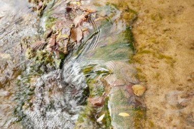 Dağ deresi yakın çekim