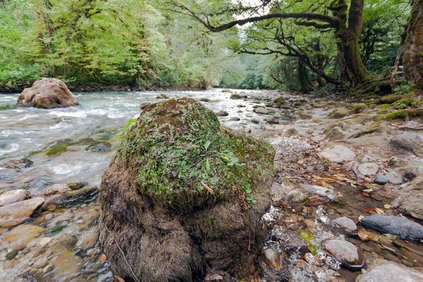 Velký kámen v horské řece — Stock fotografie