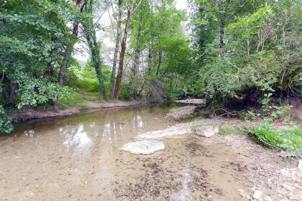 Malá řeka mezi stromy — Stock fotografie