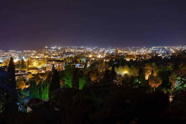 Night city with lights against the clear sky