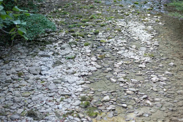 Pequeño río con piedras grises —  Fotos de Stock