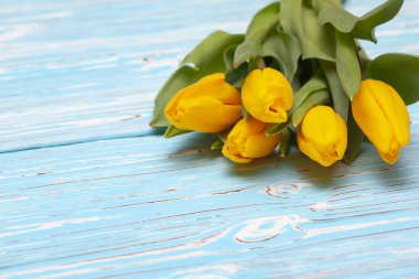 Sarı laleler mavi ahşap arka planda, metnin altına yerleştirilmiş.