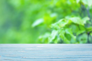 Bulanık yeşil çalılıklarda mavi ahşap masa.