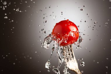 Olgun bir kiraz domatesi üzerinde bir çatal üzerinde su damlaları. Siyah beyaz gradyan arkaplan, metin altına yerleştir