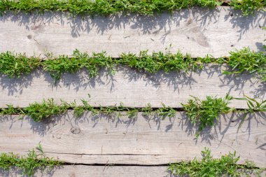 Ahşap tahtalar yeşil çimlerin üzerinde yatay olarak uzanır, yukarıdan görünür.