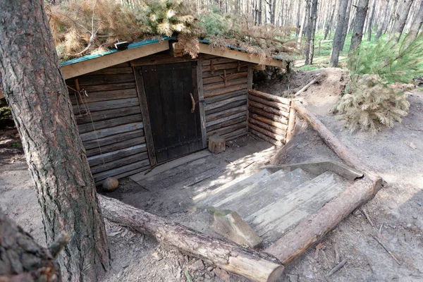 Toegang tot de dug-out, dug-out in het zomerbos — Stockfoto