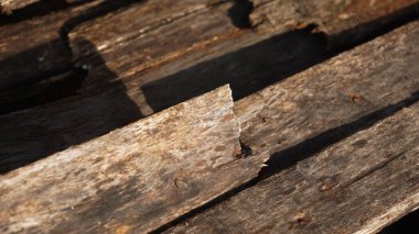 Eski ahşabın dokusu.