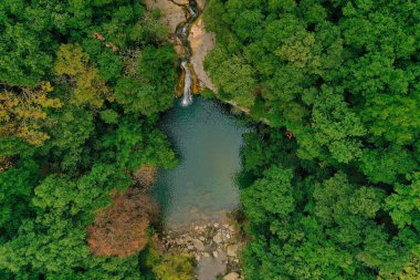 Şelale ve ormanın ortasında bir göl.