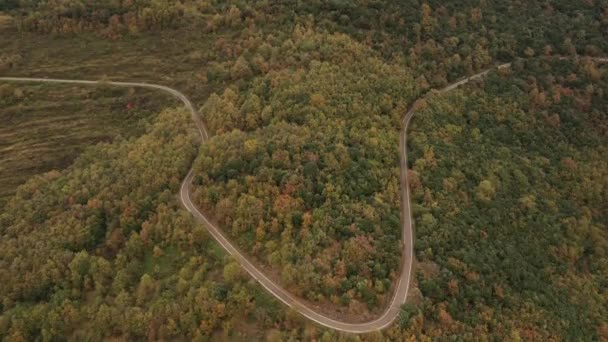 Dağlar Arasında Hava Manzaralı Bölgesel Yol — Stok video