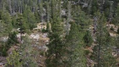 Pireneler dağlarında kar yağarken, 3000 metrelik bir dağ görebilirsiniz..