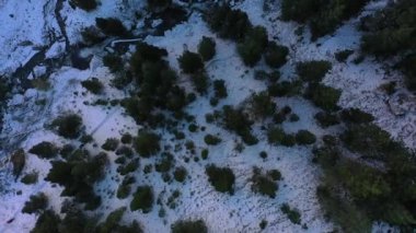 Karla kaplı çam dağı, aragon pirenelerinde