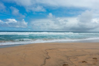 Uzak Coffee sahil şeridinin insansız hava aracı görüntüsü.