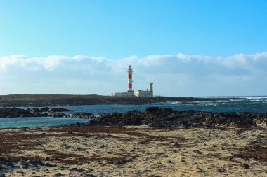 Fuerteventura 'daki ikonik Faro del Toston sahili, volkanik kayalara çarpan okyanus dalgaları, ön planda vahşi kıyı bitkileri ve bulutlu parlak mavi bir gökyüzü. Seyahat için ideal, deniz, doğa ve sen