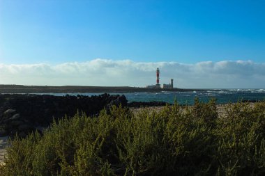 Fuerteventura 'daki ikonik Faro del Toston sahili, volkanik kayalara çarpan okyanus dalgaları, ön planda vahşi kıyı bitkileri ve bulutlu parlak mavi bir gökyüzü. Seyahat için ideal, deniz, doğa ve sen