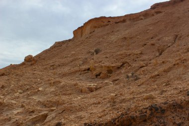 Fuerteventura 'daki çorak dağ manzarası, Kanarya Adaları, İspanya. Sıcak toprak tonlarıyla dramatik volkanik arazi, berrak gökyüzü ve doğal ışık sakin ve uzak bir çöl atmosferi yaratıyor..