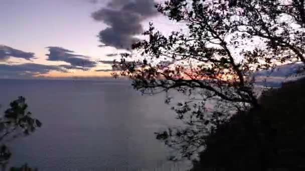 Güneşin Doğuşundaki Körfezin Panoramik Manzarası Bitkilerin Gölgeleriyle — Stok video